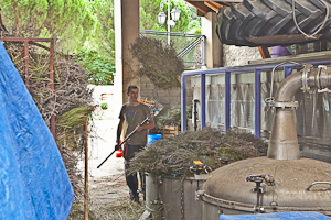 The Distillery Bleu Provence, where the tradition of the distillation of lavender and aromatic plants has continued since 1939.